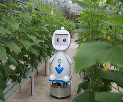 Farming robot makes its debut in Fujian