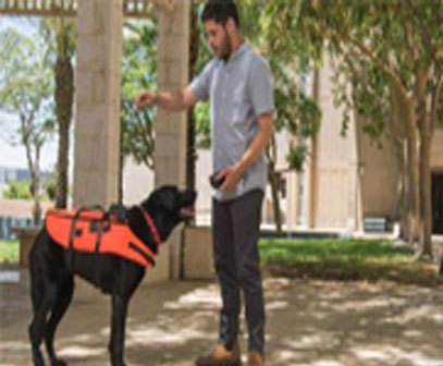 Dog learns new tricks via vibrating vest